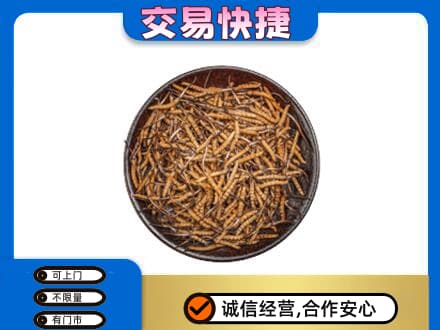 百色市德保高价回收散虫草